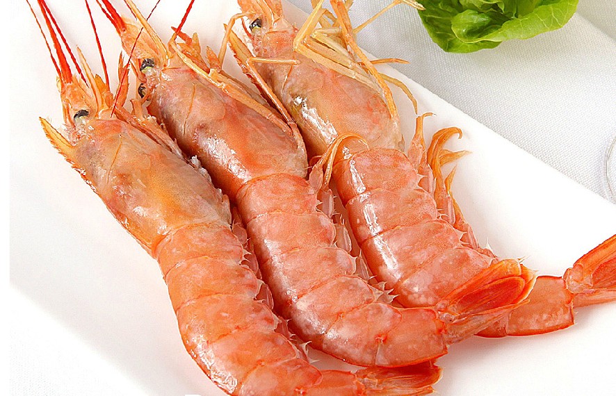 阿根廷红虾.jpg